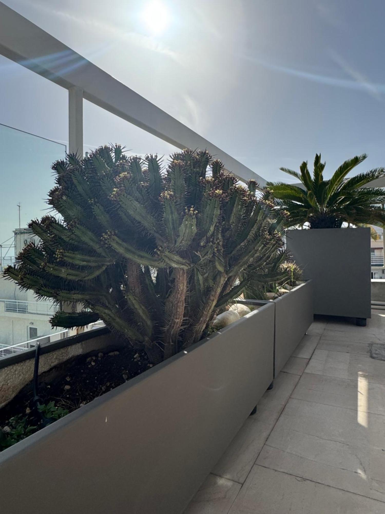 Sea Horizon Penthouse Flat Appartamento Atene